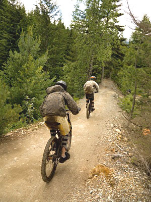 Bicycles on Path